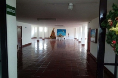 WhatsApp-Image-2019-12-25-at-11.11.42-AM